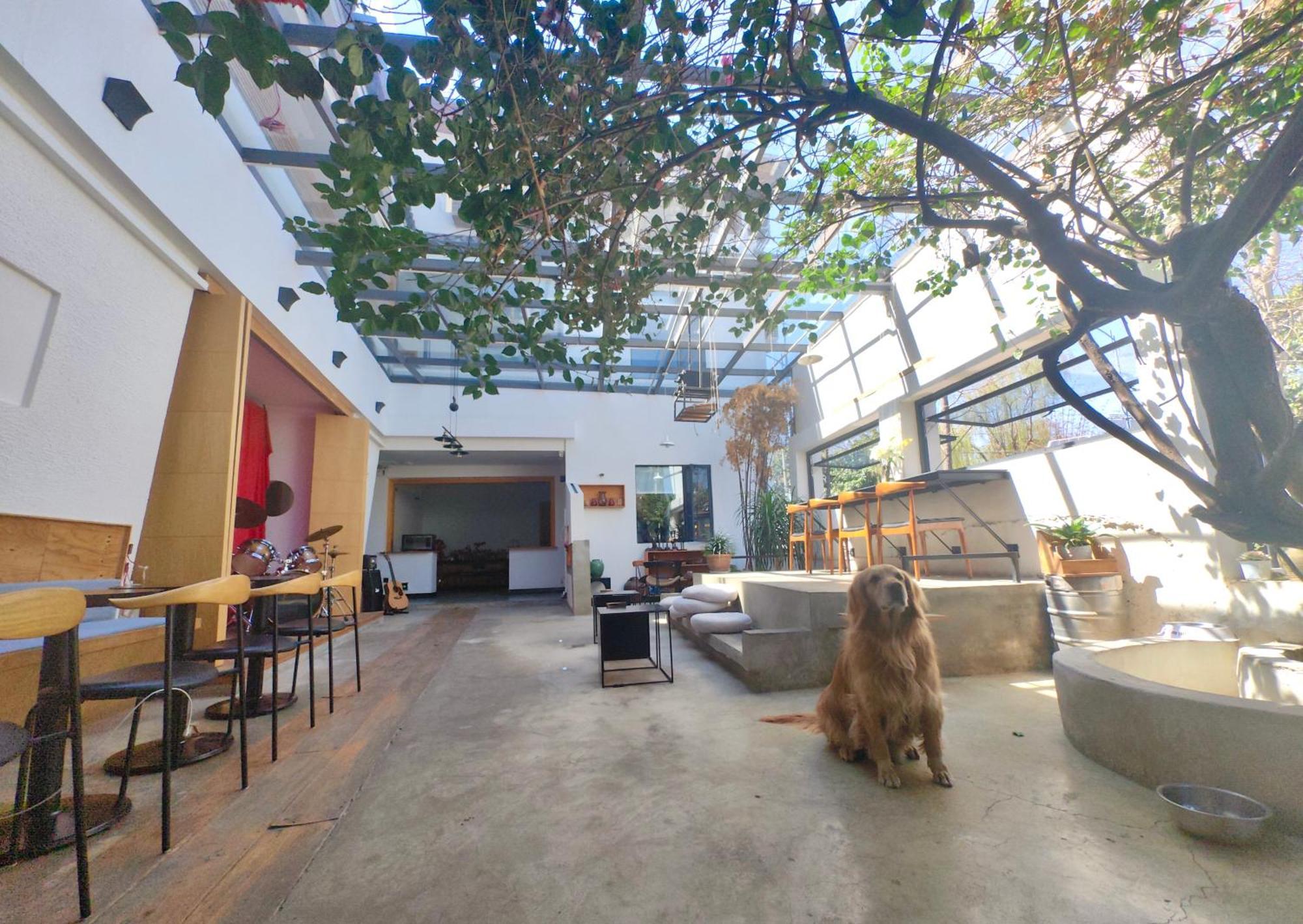 Dali Loft Travelling With Hostel 외부 사진